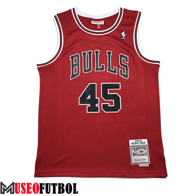 Camisetas Chicago Bulls (JORDAN #45) 2023/24 Rojo