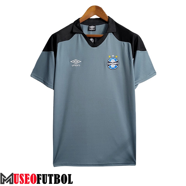 Camiseta Entrenamiento Gremio Gris 2023/2024 -02