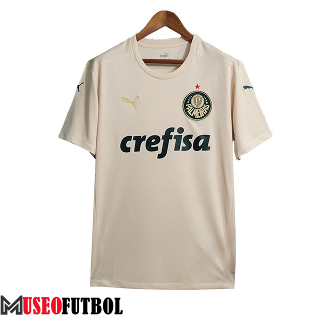 Camisetas De Futbol Palmeiras Retro Segunda 2021/2022