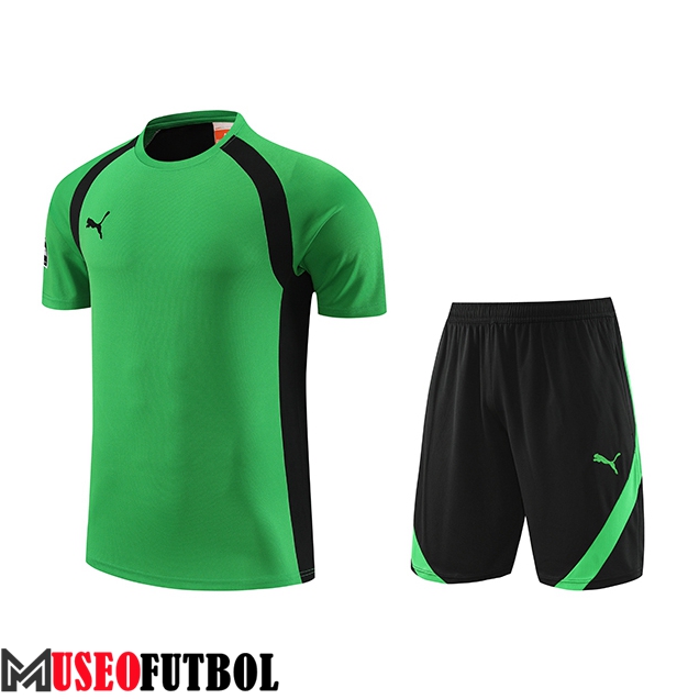 Camiseta Entrenamiento + Cortos Puma Verde 2023/2024