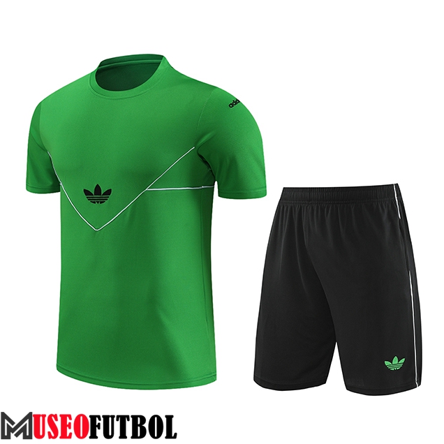 Camiseta Entrenamiento + Cortos Adidas Verde 2023/2024