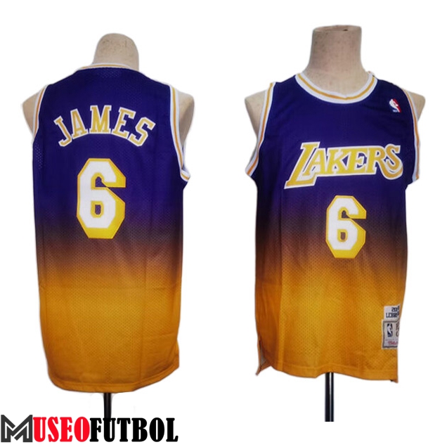 Camisetas Los Angeles Lakers (JAMES #6) 2023/24 Violeta/Amarillo