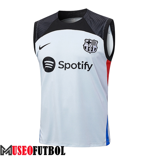 Chalecos De Futbol FC Barcelona Gris 2023/2024 -02