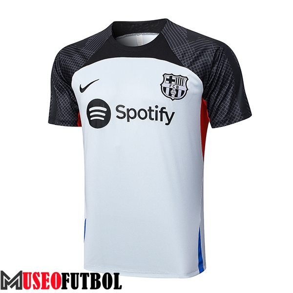 Camiseta Entrenamiento FC Barcelona Gris 2023/2024 -02