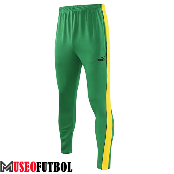 Pantalon Entrenamiento PUMA Verde 2023/2024