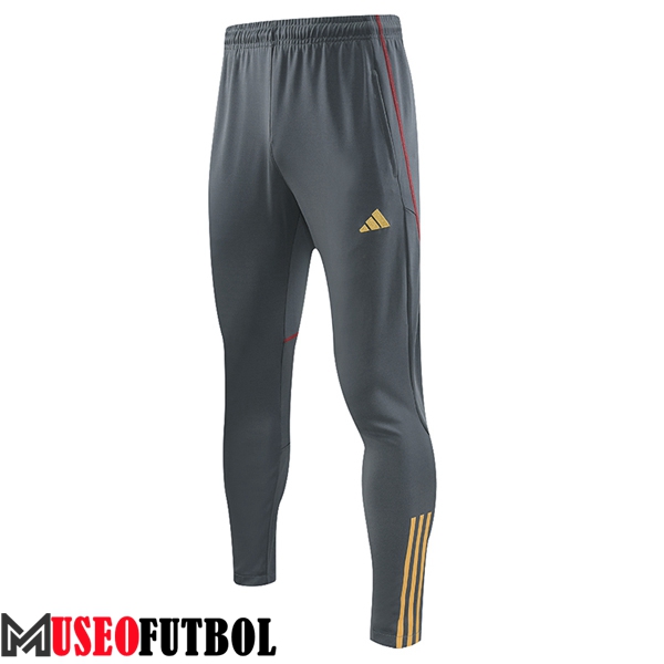 Pantalon Entrenamiento FC Arsenal Gris 2023/2024