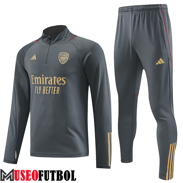 Chandal Equipos De Futbol FC Arsenal Gris 2023/2024