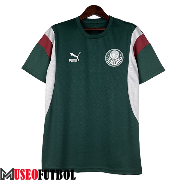 Camisetas De Futbol Palmeiras Verde 2023/2024