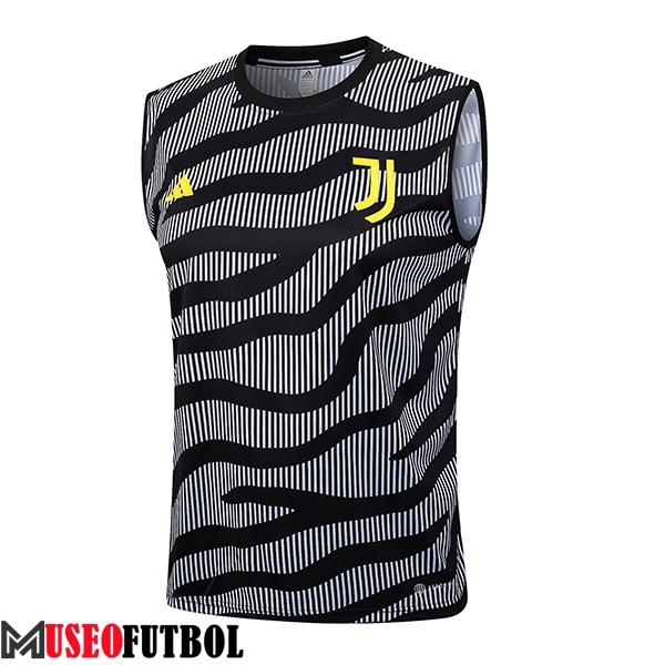 Chalecos De Futbol Juventus Gris 2023/2024