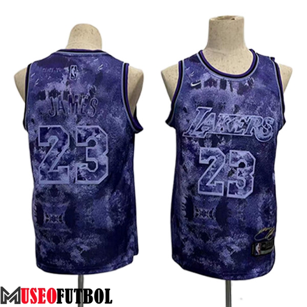 Camisetas Los Angeles Lakers (JAMES #23) 2023/24 Violeta