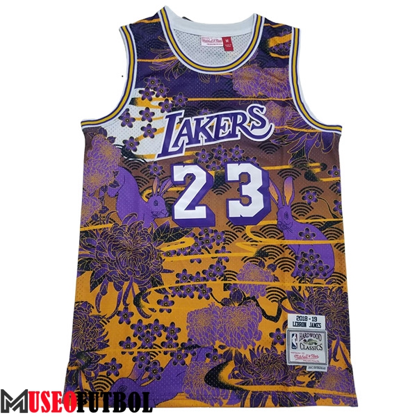 Camisetas Los Angeles Lakers (JAMES #23) 2023/24 Amarillo/Violeta