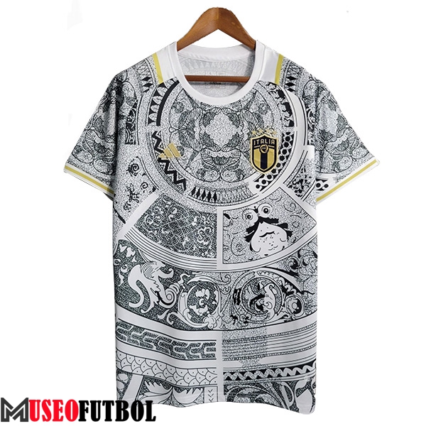 Camiseta Equipo Nacional Italia Special Edition Gris 2023/2024