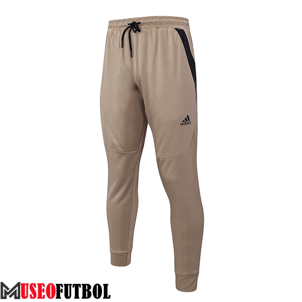 Pantalon Entrenamiento Adidas Marrón 2023/2024