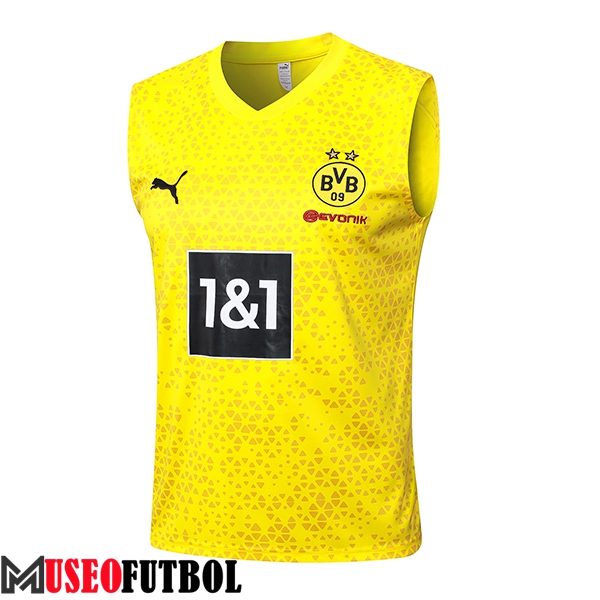 Chalecos De Futbol Dortmund Amarillo 2023/2024