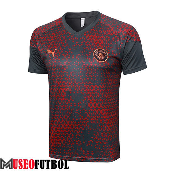 Camiseta Entrenamiento Manchester City Gris 2023/2024