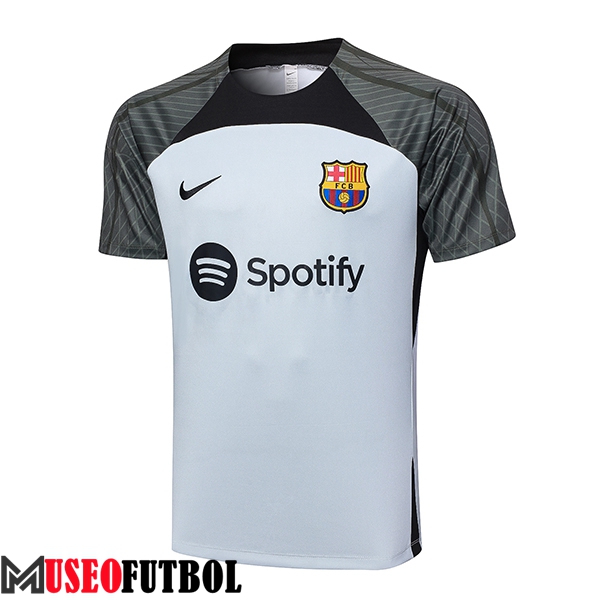 Camiseta Entrenamiento FC Barcelona Gris Claro 2023/2024