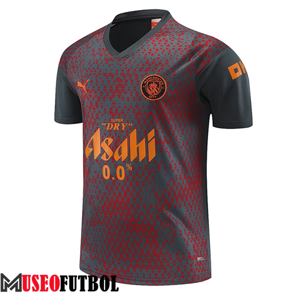 Camiseta Entrenamiento Manchester City Gris/Rojo 2023/2024