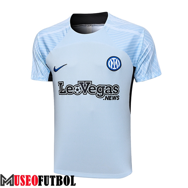 Camiseta Entrenamiento Inter Milan Gris 2023/2024