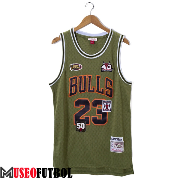 Camisetas De Futbol Chicago Bulls (JORDAN #23) 2023/24 Verde