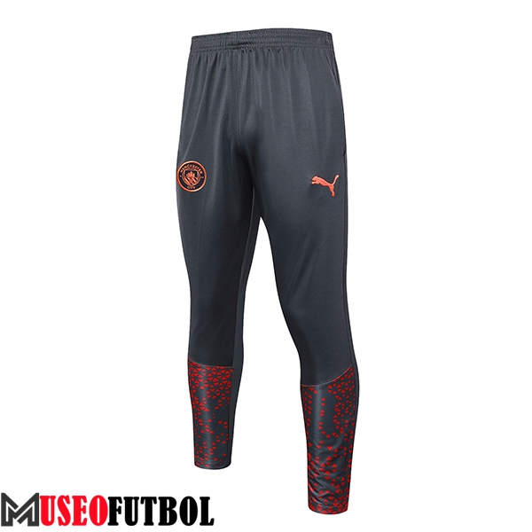 Pantalon Entrenamiento Manchester City Gris 2023/2024