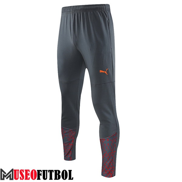 Pantalon Entrenamiento Manchester City Gris 2023/2024 -02