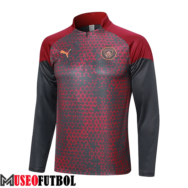 Sudadera De Entrenamiento Manchester City Gris 2023/2024