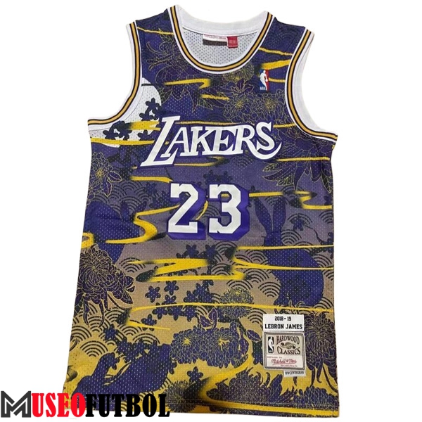 Camisetas Los Angeles Lakers (JAMES #23) 2023/24 Violeta/Amarillo