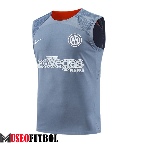 Chalecos De Futbol Inter Milan Gris/Naranja 2023/2024