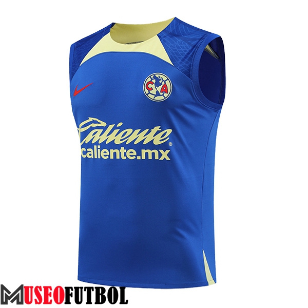 Chalecos De Futbol Club America Azul/Verde 2024/2025