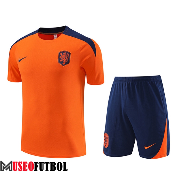 Camiseta Entrenamiento + Cortos Países Bajos Naranja 2023/2024