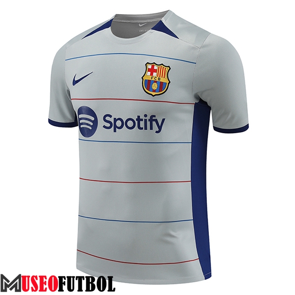 Camiseta Entrenamiento FC Barcelona Gris 2023/2024 -03