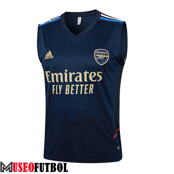 Chalecos De Futbol Arsenal Azul Oscuro 2024/2025