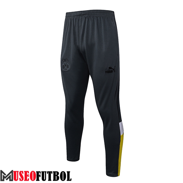 Pantalones Entrenamiento Dortmund Gris 2023/2024