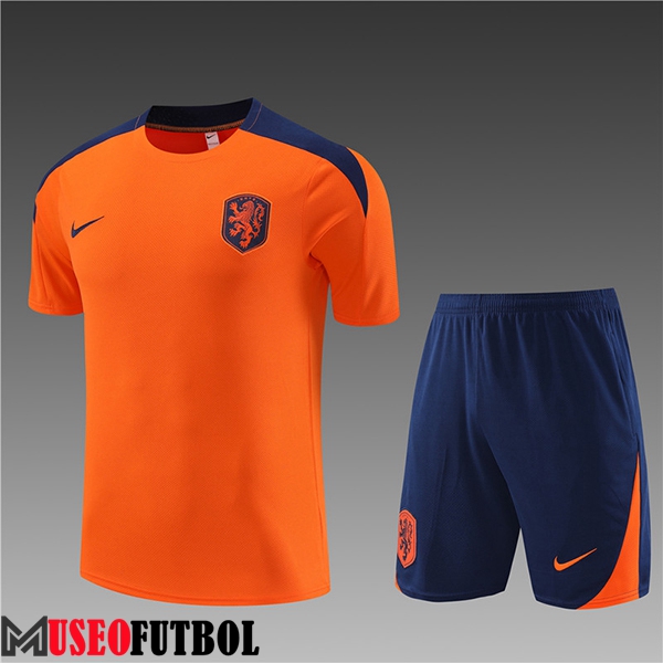 Camiseta Entrenamiento + Cortos Países Bajos Ninos Naranja 2023/2024