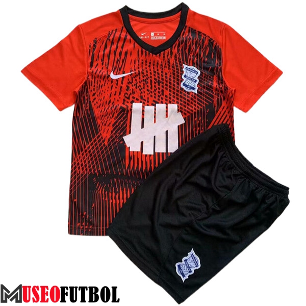 Camisetas De Futbol Birmingham City Ninos Segunda 2023/2024