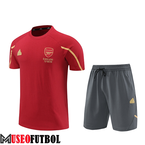 Camiseta Entrenamiento + Cortos Arsenal Rojo/Amarillo/Gris 2024/2025