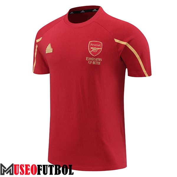 Camiseta Entrenamiento Arsenal Rojo/Amarillo 2024/2025