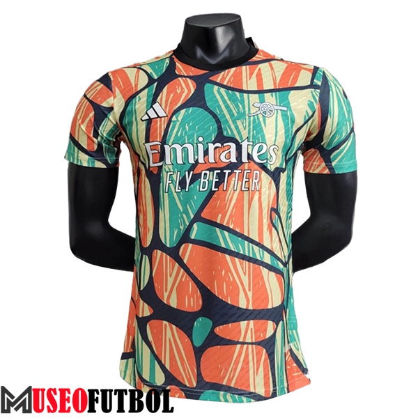 Camiseta Entrenamiento Arsenal Verde/Naranja/Azul/Amarillo 2024/2025