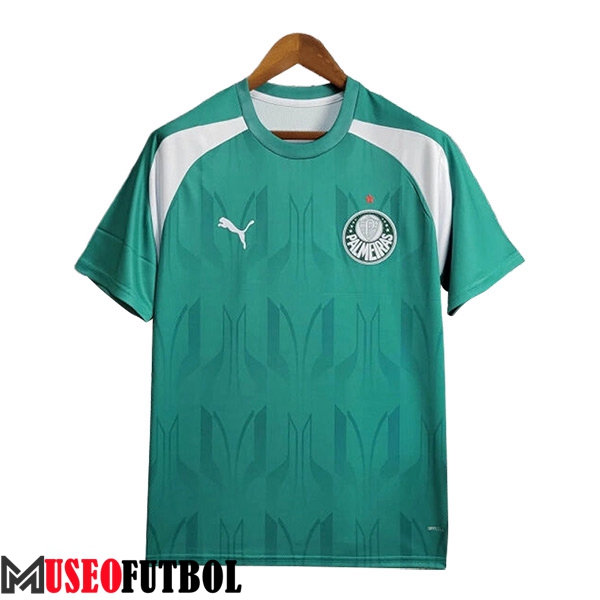 Camiseta Entrenamiento Palmeiras Verde/Blanco 2024/2025