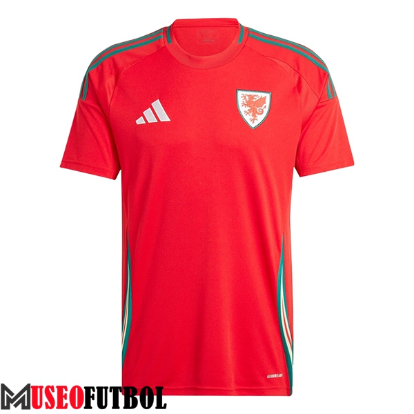 Camiseta Equipo Nacional Gales Primera 2024/2025