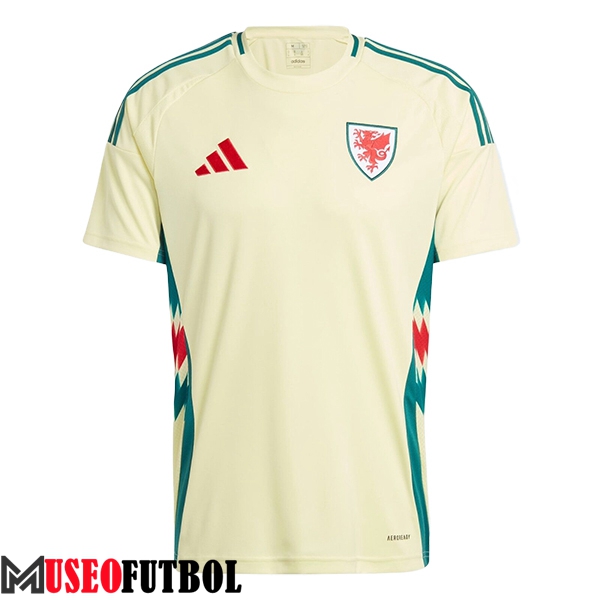 Camiseta Equipo Nacional Gales Segunda 2024/2025