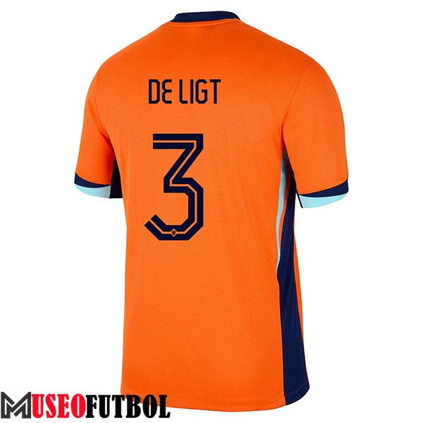 Camisetas De Futbol Países Bajos (DE LIGT #3) UEFA Euro 2024 Primera