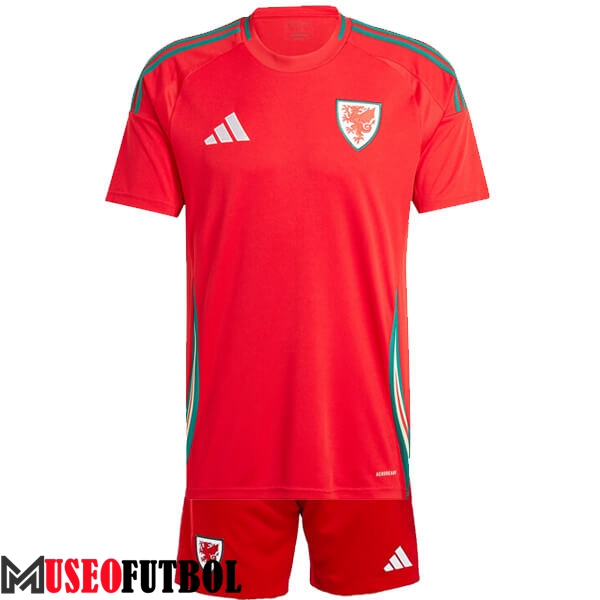 Camisetas De Futbol Gales Ninos Primera 2024/2025