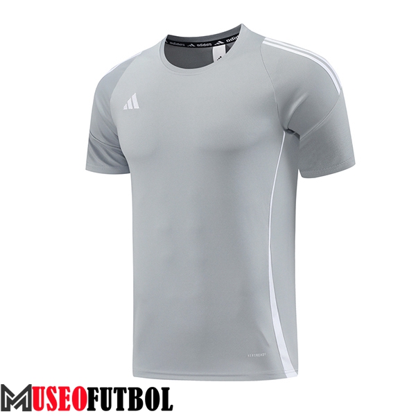 Camiseta Entrenamiento Adidas Gris/Blanco 2024/2025