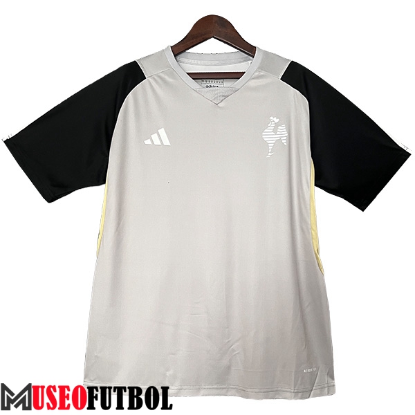 Camiseta Entrenamiento Atletico Mineiro Gris/Negro 2024/2025