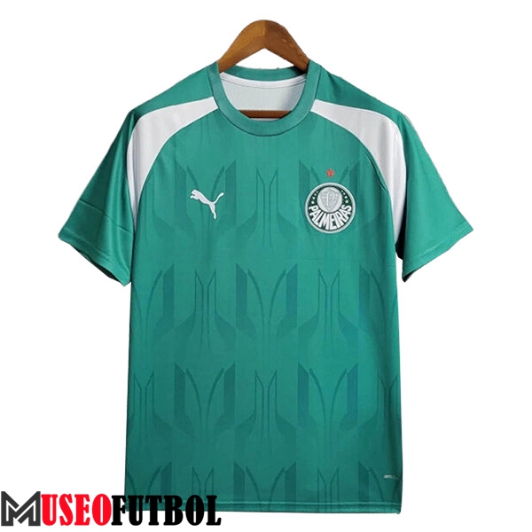 Camiseta Entrenamiento Palmeiras Verde/Blanco 2024/2025