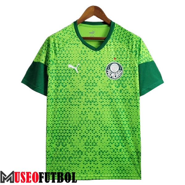 Camiseta Entrenamiento Palmeiras Verde 2024/2025