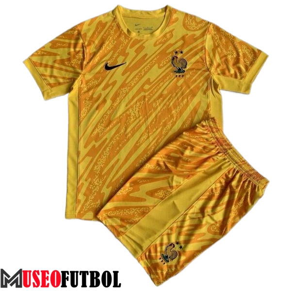 Camisetas De Futbol Francia Ninos Portero Amarillo UEFA Euro 2024