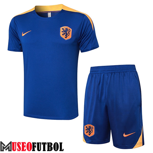 Camiseta Entrenamiento + Cortos Países Bajos Azul/Amarillo 2024/2025