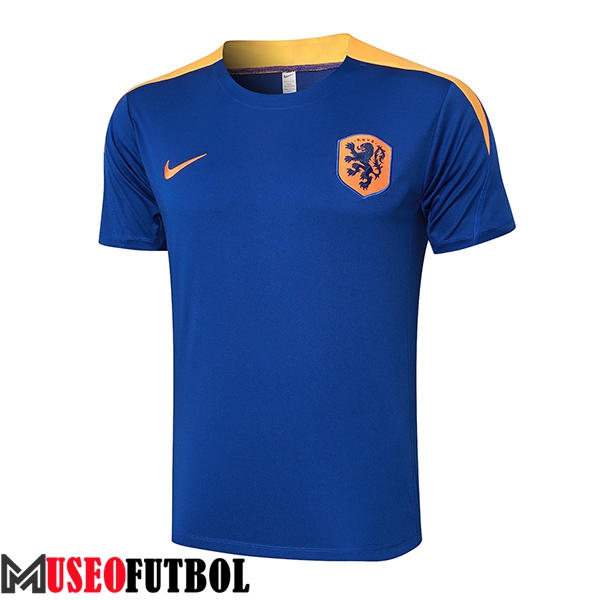 Camiseta Entrenamiento Países Bajos Azul/Amarillo 2024/2025